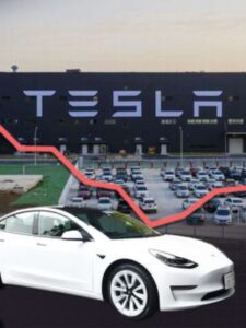 Tesla's Turbulent Ride: Can It Charge Higher in 2024?