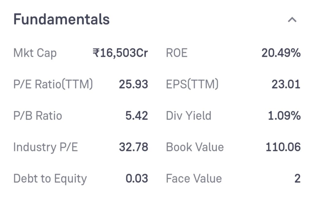 Birlasoft Share Price Target: 2025, 2030, 2035, 2040, and 2050